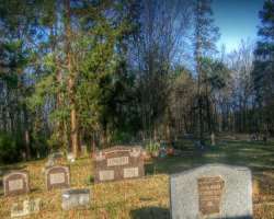 There are several trees in the cemetery including oak, pine, and hickory There are several trees in the cemetery including oak, pine, and hickory.